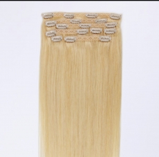 Echthaar Clip Extensions Hell Blond